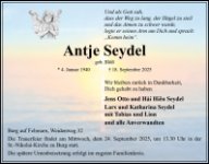 eine Anzeige